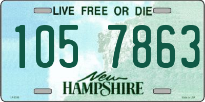 NH license plate 1057863