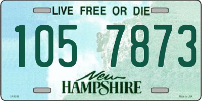 NH license plate 1057873