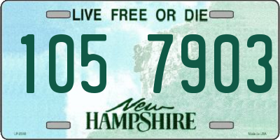 NH license plate 1057903