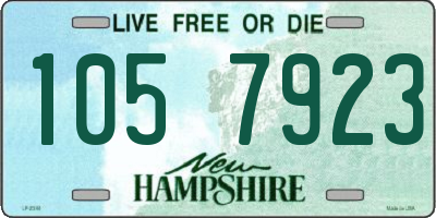 NH license plate 1057923