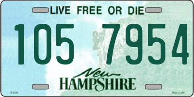 NH license plate 1057954