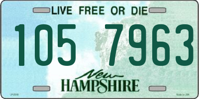 NH license plate 1057963