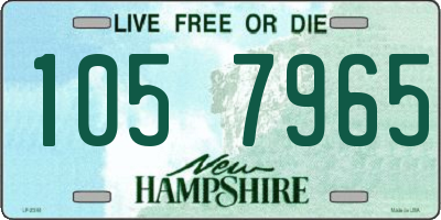 NH license plate 1057965
