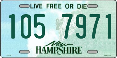 NH license plate 1057971