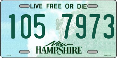 NH license plate 1057973
