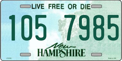 NH license plate 1057985