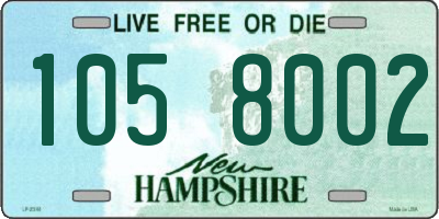 NH license plate 1058002