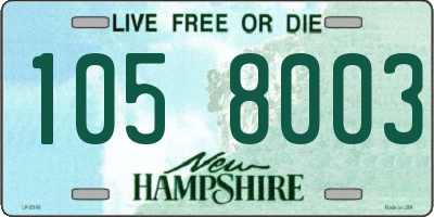 NH license plate 1058003