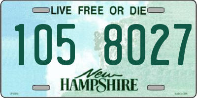 NH license plate 1058027