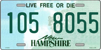 NH license plate 1058055