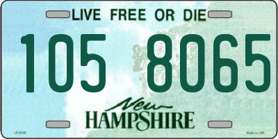 NH license plate 1058065