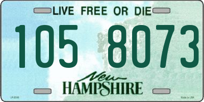 NH license plate 1058073