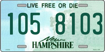 NH license plate 1058103