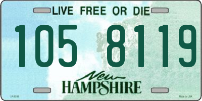 NH license plate 1058119