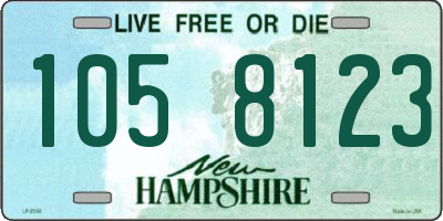 NH license plate 1058123