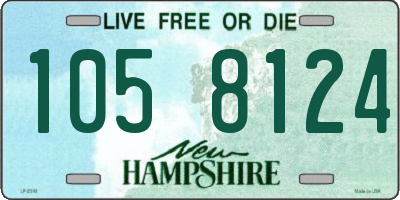 NH license plate 1058124