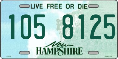 NH license plate 1058125