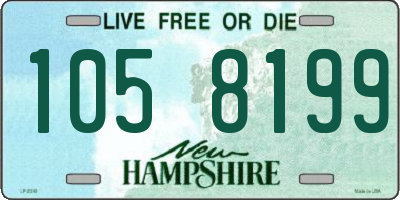 NH license plate 1058199