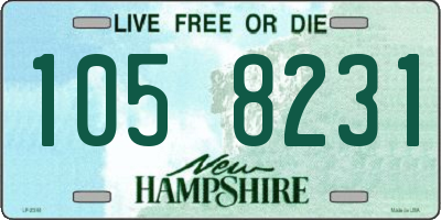 NH license plate 1058231
