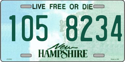 NH license plate 1058234