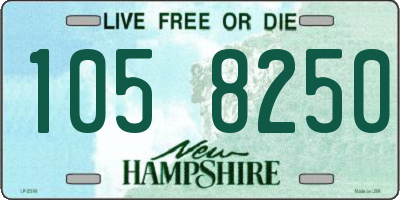 NH license plate 1058250