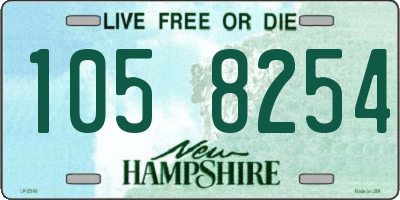 NH license plate 1058254