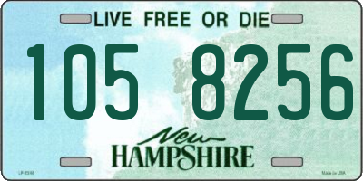 NH license plate 1058256