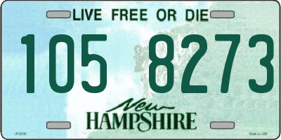 NH license plate 1058273
