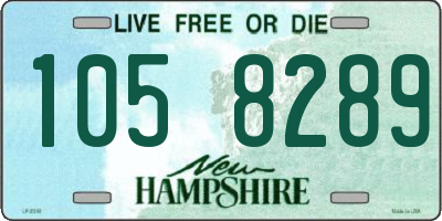 NH license plate 1058289