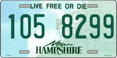 NH license plate 1058299