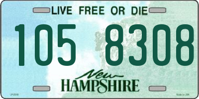 NH license plate 1058308