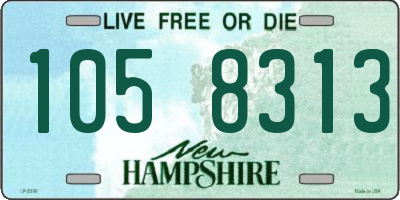 NH license plate 1058313