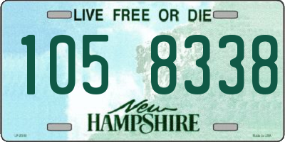 NH license plate 1058338