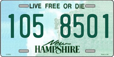 NH license plate 1058501
