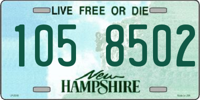 NH license plate 1058502