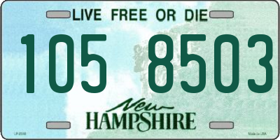 NH license plate 1058503