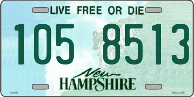 NH license plate 1058513