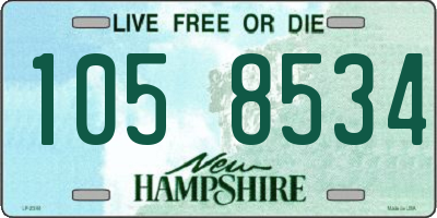 NH license plate 1058534