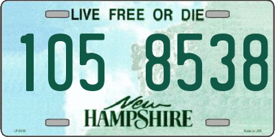 NH license plate 1058538