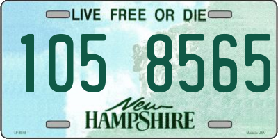 NH license plate 1058565