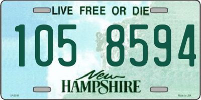 NH license plate 1058594