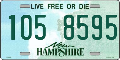 NH license plate 1058595