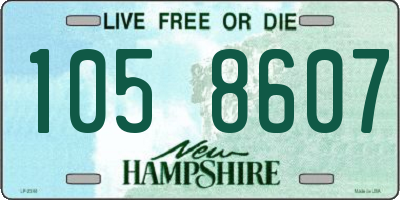 NH license plate 1058607