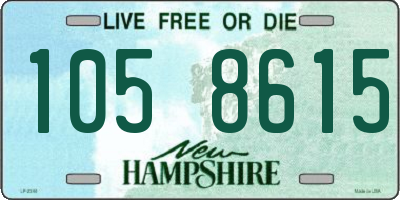 NH license plate 1058615