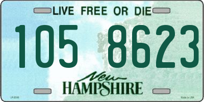 NH license plate 1058623