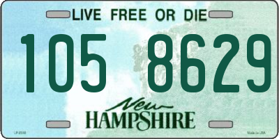 NH license plate 1058629