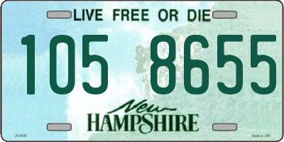 NH license plate 1058655