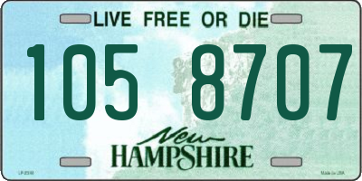 NH license plate 1058707