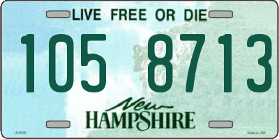NH license plate 1058713