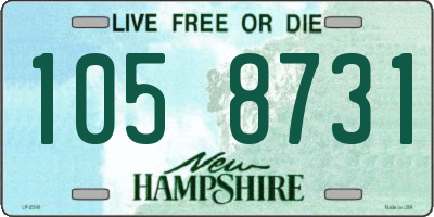 NH license plate 1058731